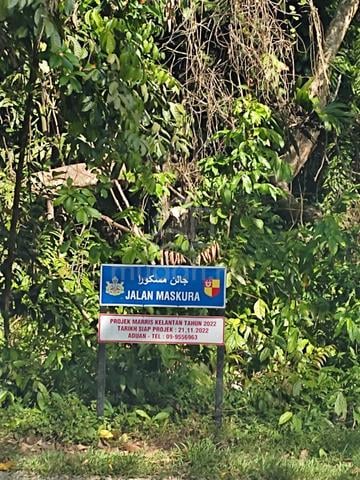 Kebun Getah untuk dijual di kg.Bendang Besar,Jedok tua. 1