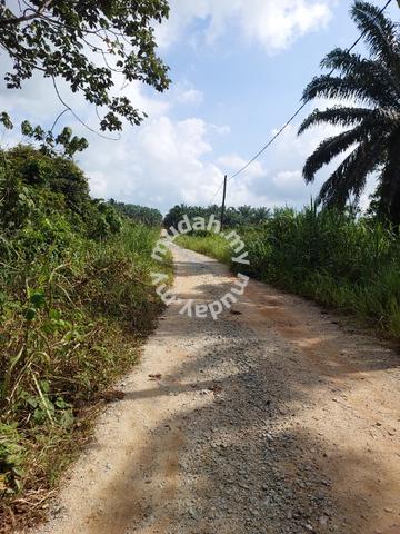 Kota Tinggi Lipat Kajang Agricultural Land for Sale 1