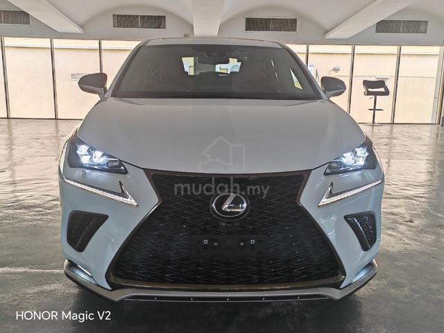2021 Lexus NX300 2.0 F SPORT 360 CAMS GRADE 4.5B - 3