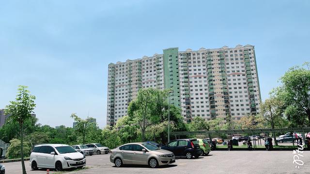 Desaminium Rimba 1