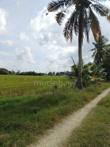 Tanah Cantik Bendang Morak 1