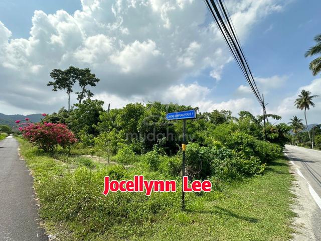Land At Jalan Bharu, Balik Pulau, Penang 1