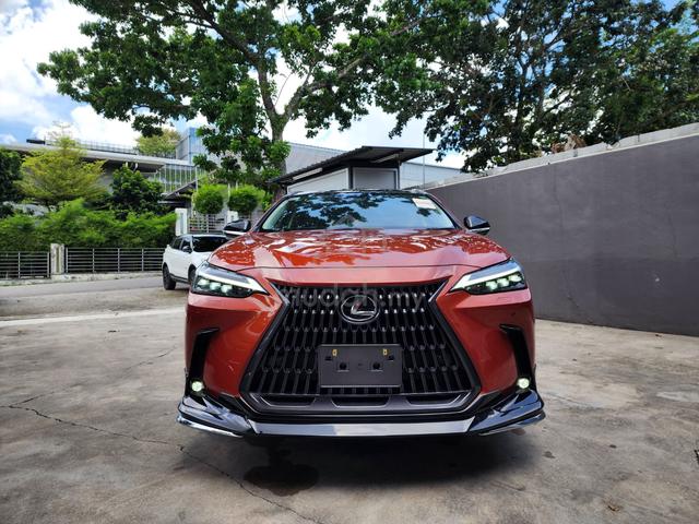 2022 Lexus NX250 2.5 LUXURY (A) GRADE 4.5B - 3