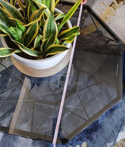 Geometric Glass Top Coffee Table with Metal Frame - photo 4 of 5