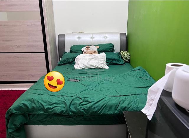 Rumah Untuk Disewa IPJ 5