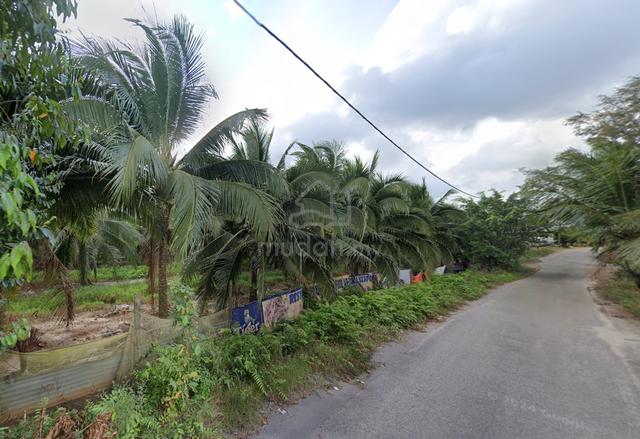 Kuala Rompin, Pekan, Beach Land Pahang 1