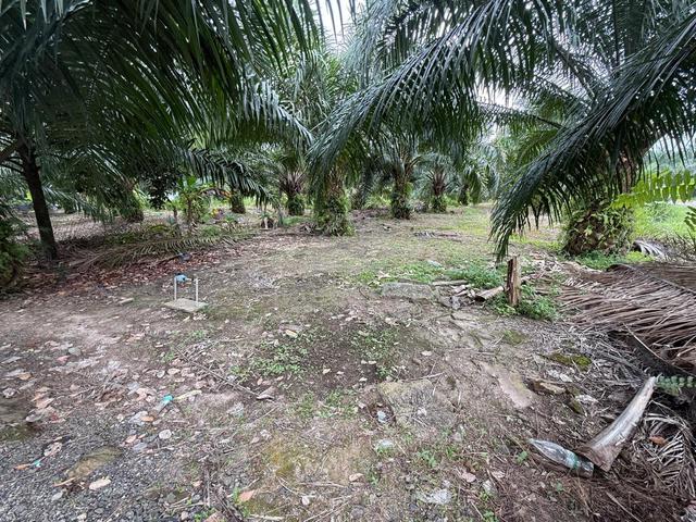 1 acre Zoning Industrial freedhold Telok Panglima Garang for sales 🌱 1