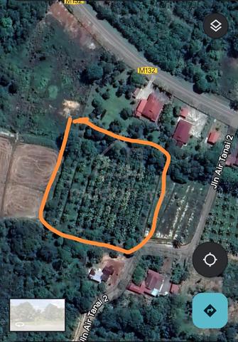 Tanah berserta hasil pokok kelapa untuk disewakan 2