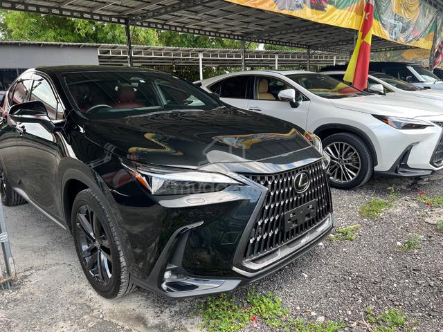 MERDEKA SALE 2023 Lexus NX 250 2.5 Version L - 1