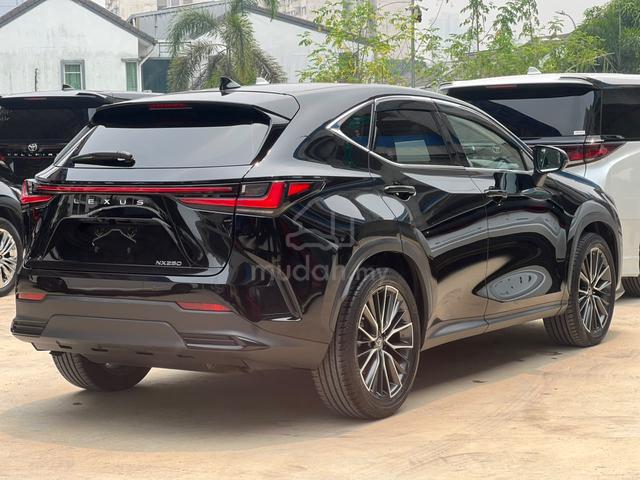 2022 Lexus NX250 2.5 LUXURY (A) - 2