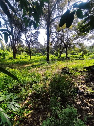 MEMORIAL PARK Freehold Land Ayer Keroh Sungai Putat Batu Berendam 1