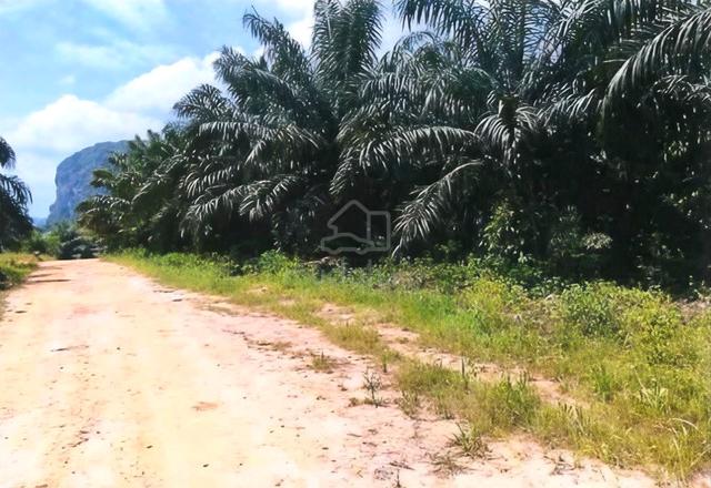 PRIVATE LAND Kelantan Gua Musang Ulu Nenggiri 2700 acres Palm Oil Land 1