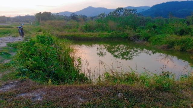 Tanah 1 ekar hendak disewa 1