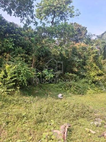 Tanah Pertanian Sungai Setar Jeneri Sik untuk Dijual 1