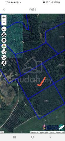 Tanah Kebun Sawit untuk di jual dengan segera 5