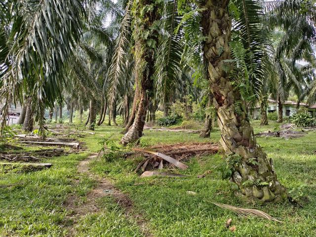 1.36 ekar land @ Sungai Raya, Tempat Air Hitam, Linggi, PD, N9 4