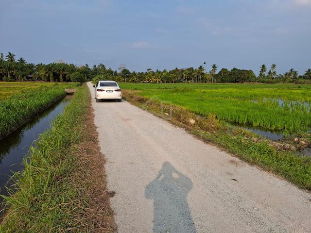 Tanah Sawah mampu milik 1