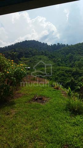 Tanah 4.9 ekar Hanya 400m dr Jln Besar K. Kangsar - Gerik URGENT SALE 1
