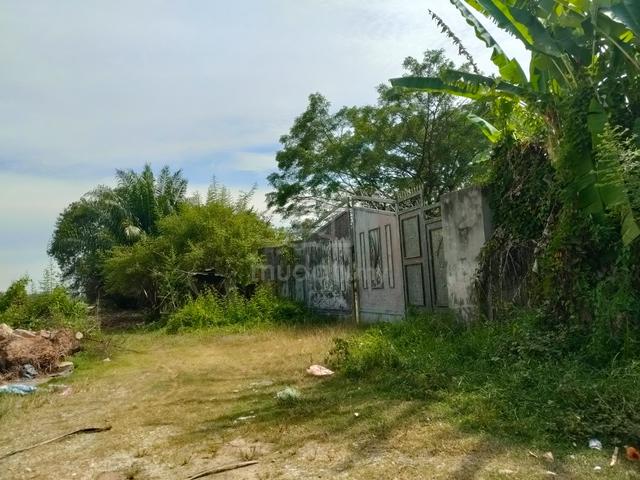 1 Acres Agriculture Land in Air hitam Dengkil Selangor 1
