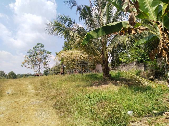 3.34 acres Durian Farm at Pusing, Perak 1