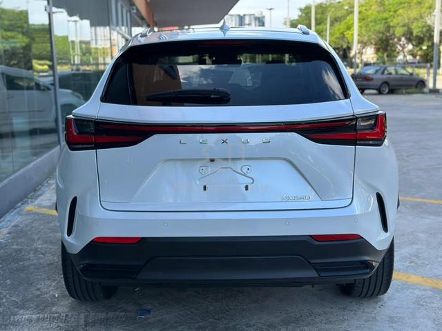 2022 Lexus NX 250 2.5 LUXURY (A) - 4