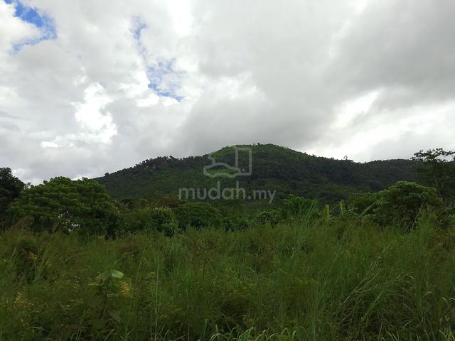 Tanah Pertanian Area Changloon 1