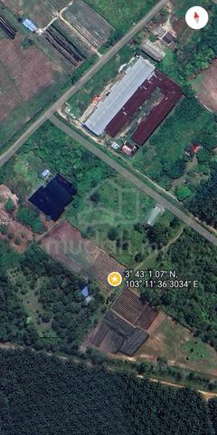 1 Ekar Land Jaya Gading Kuantan – Ada Jalan Masuk, Flat Land 1