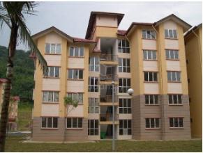 Damiana Apartment 1