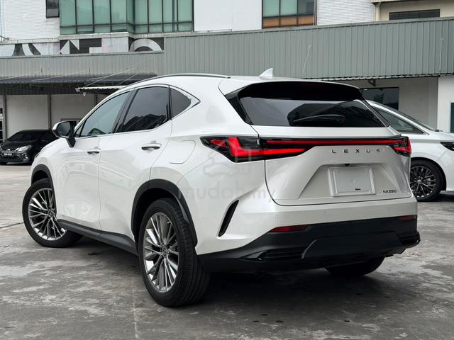 2022 Lexus NX250 2.5 VERSION L Panoramic Roof 208K - 2