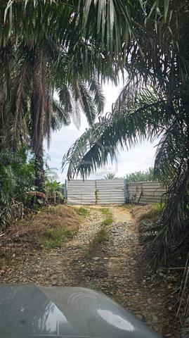 Land for Sale 1