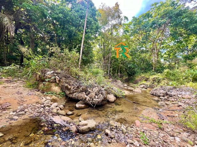 TANAH LATA SUNGAI ! Geran 1 NAMA ! Boleh LPPSA ! 5 Relong ! 2