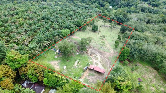 Tanah kebun berdekatan bandar Meru raya untuk dijual 1