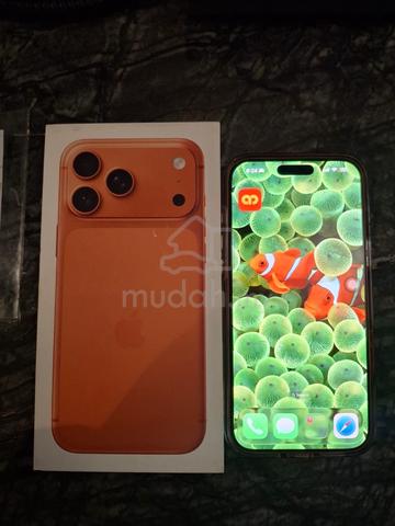 Carousel Image Selected