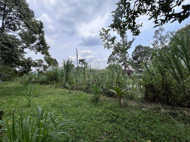 Agriculture Land Lenggeng, Seremban (1.07 ac) 1