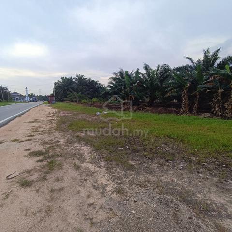 FOR SALE , Tanah Pertanian Sg Karang ,Pontian 1