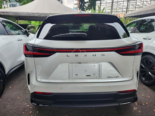 2022 Lexus NX 250 2.5 VL SR 4LED 20 PB D&B HUD PC - 4