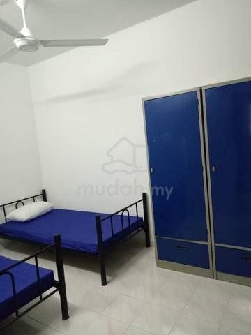 Bilik Sewa Lelaki Apartment Idaman, Bandar Perda 1