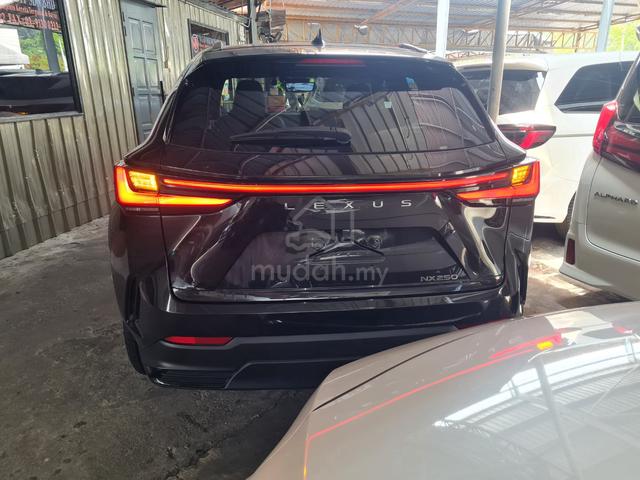 2022 Lexus Nx250 2.5 Luxury Panoramic roof Unreg - 4