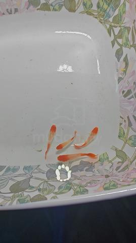 Carousel Image