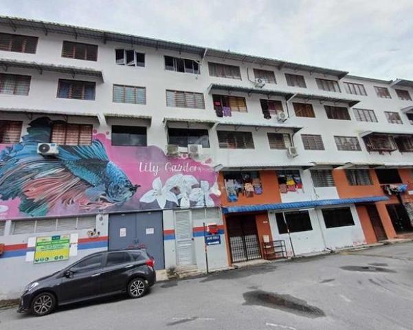 Taman Balik Pulau 1