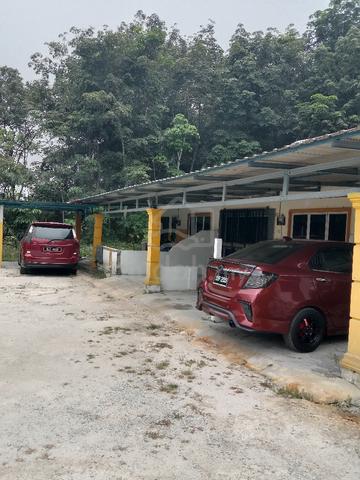 rumah sewa  1
