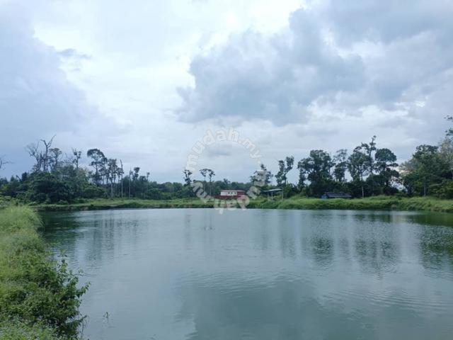 5.34 acres Agri Land at Lawan Kuda, Gopeng Perak 1