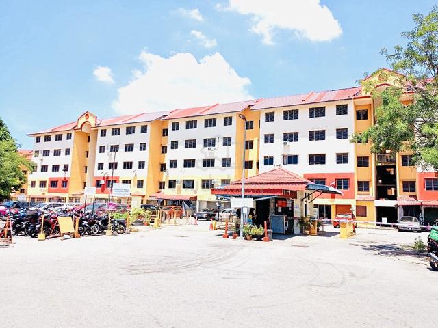 Pauh Damai 1