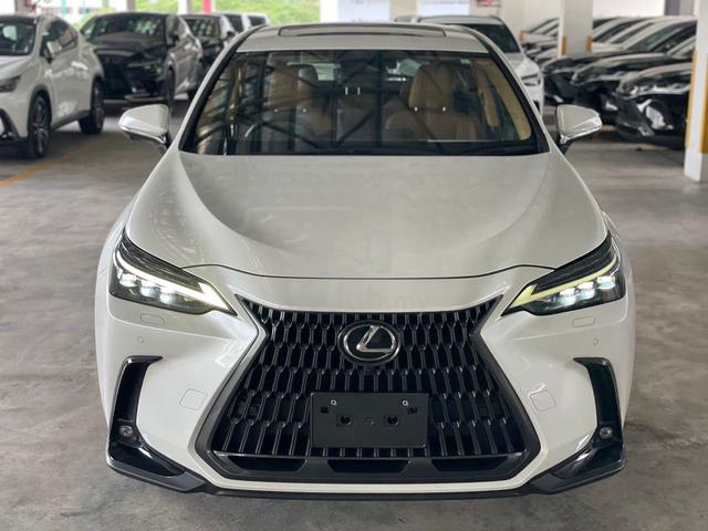 2023 Lexus NX250 2.5 LUXURY MY22 (A) - 2