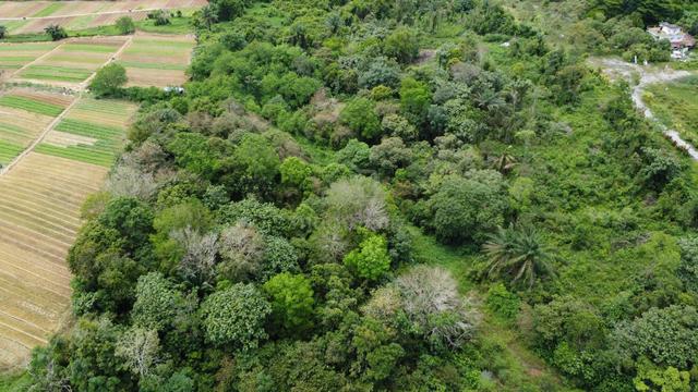 Senai Industrial Land For Sale 1