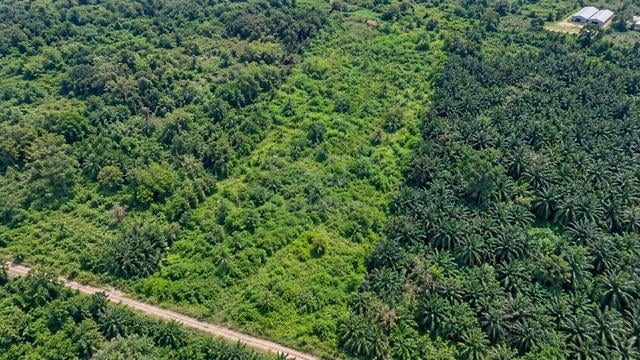 7 Acre Freehold Development Land for Sale in Valdor, Penang 1