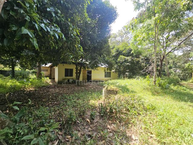 8 Ekar Tanah Dusun Durian Lubuk Kelubi, Sungai Lui, Hulu Langat 1