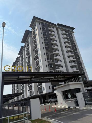 Gizo 11 1