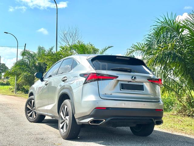 2018 Lexus NX300 2.0 URBAN (A) - 4