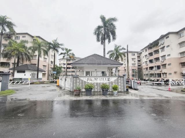 Palm Ville 1